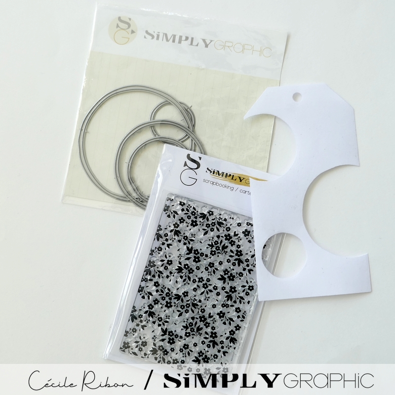 TutoSG10 04 - P1400368