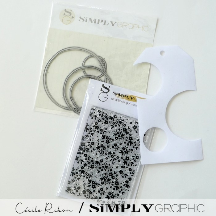 TutoSG10 04 - P1400368