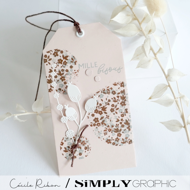 TutoSG10 04 - P1400430