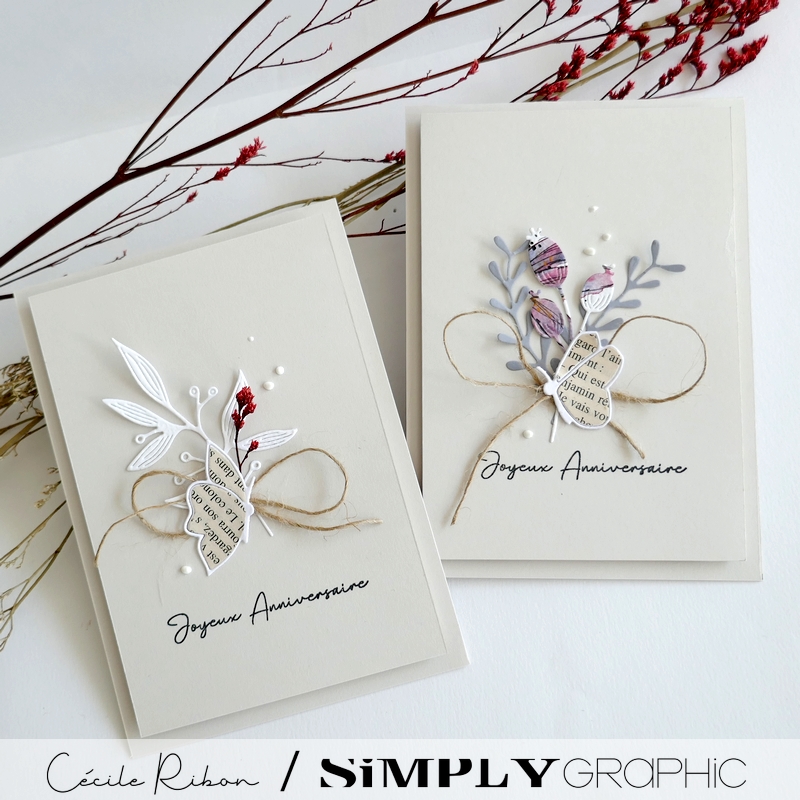 Carte AnnivF00 - P1400922