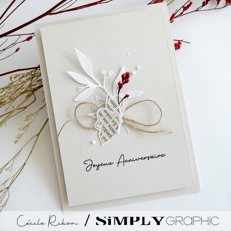 Carte AnnivF01 - P1400927