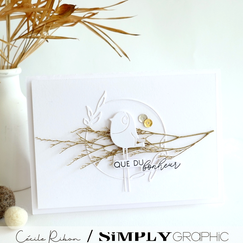 Carte FMS589 - P1410058