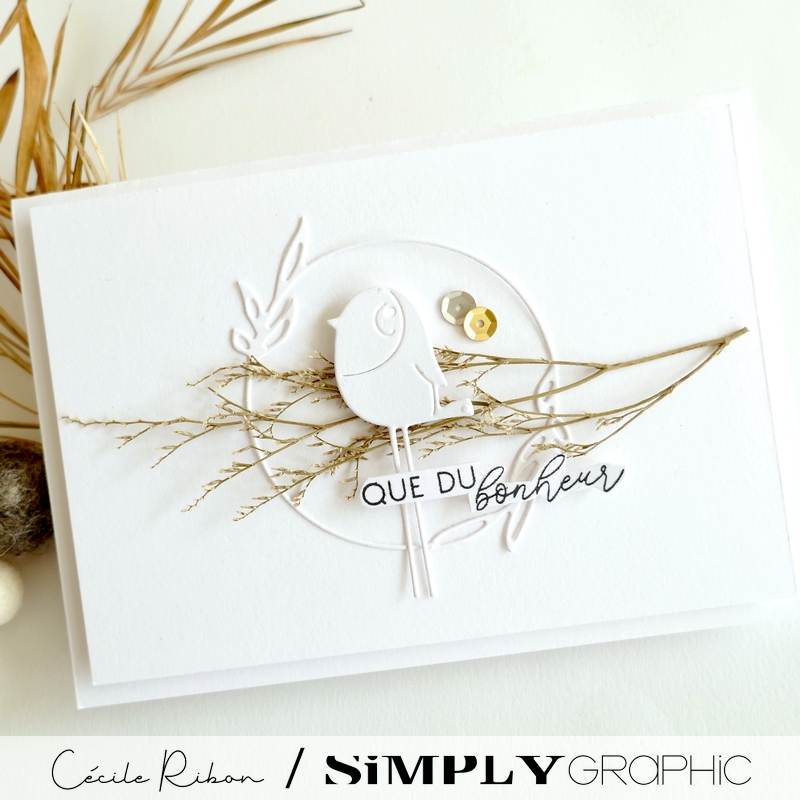 Carte FMS589 - P1410062