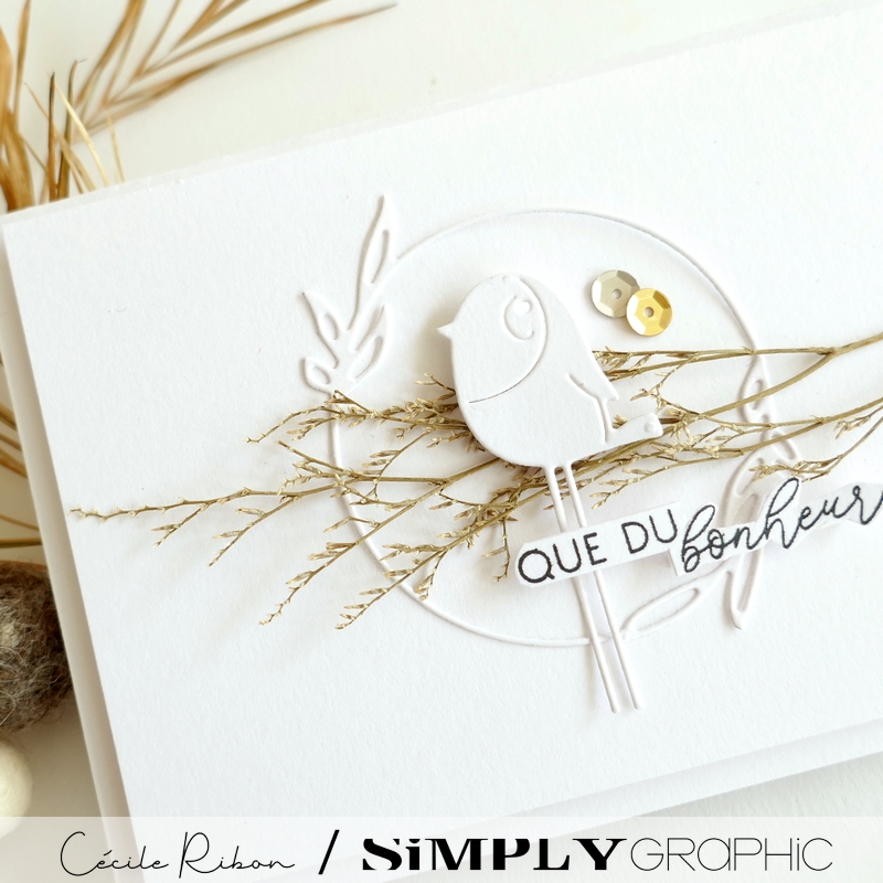 Carte FMS589 - P1410068