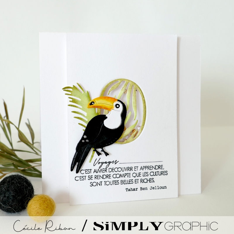 Carte FMS592 - P1410262