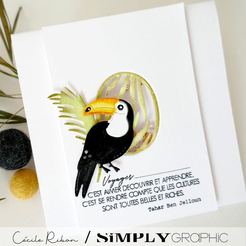 Carte FMS592 - P1410271