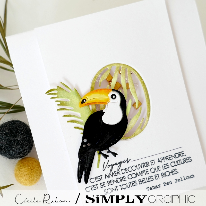 Carte FMS592 - P1410275