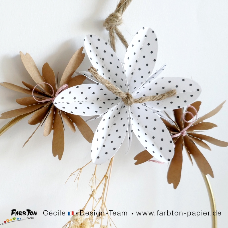 FarbtonP46 - P1390128