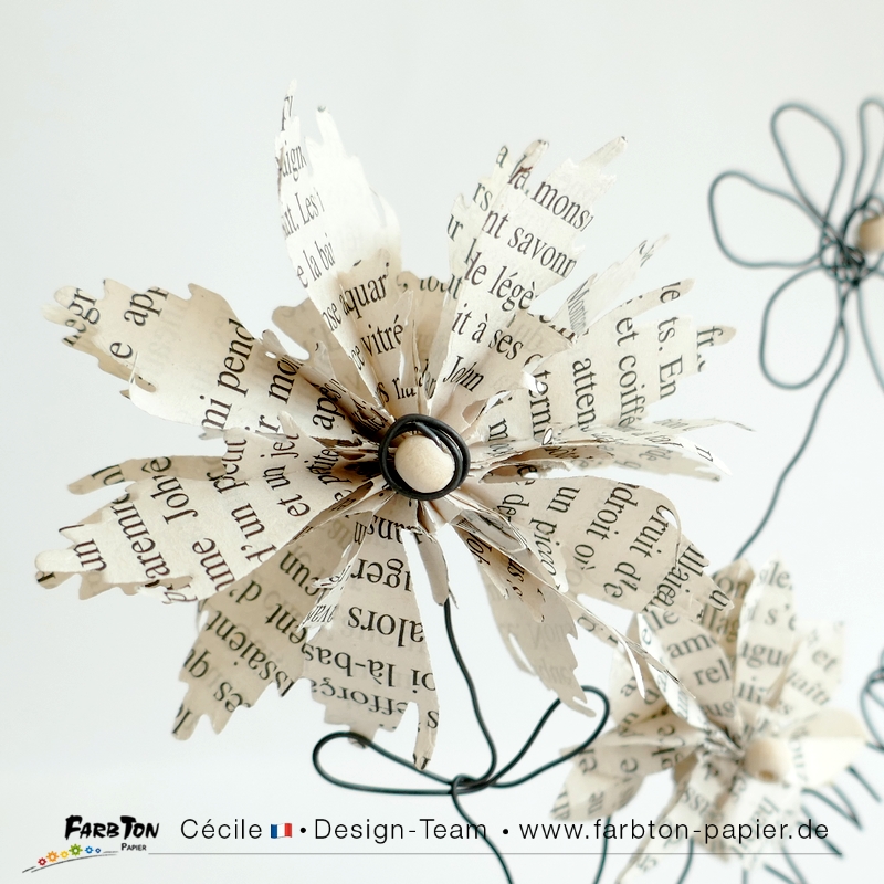 FarbtonP75 - P1410132