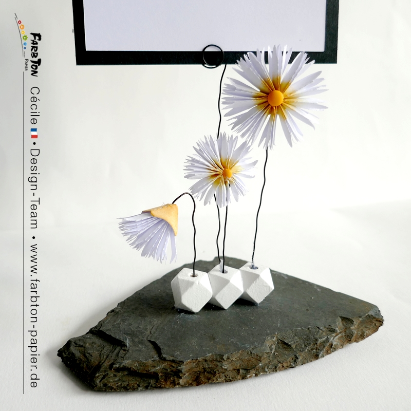 FarbtonP76 - P1410140