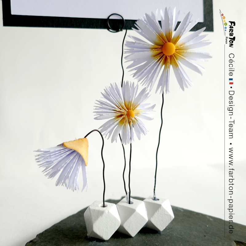 FarbtonP76 - P1410146