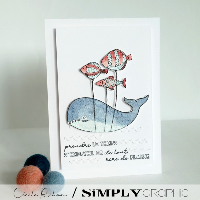 Carte CC&S515 - P1410364