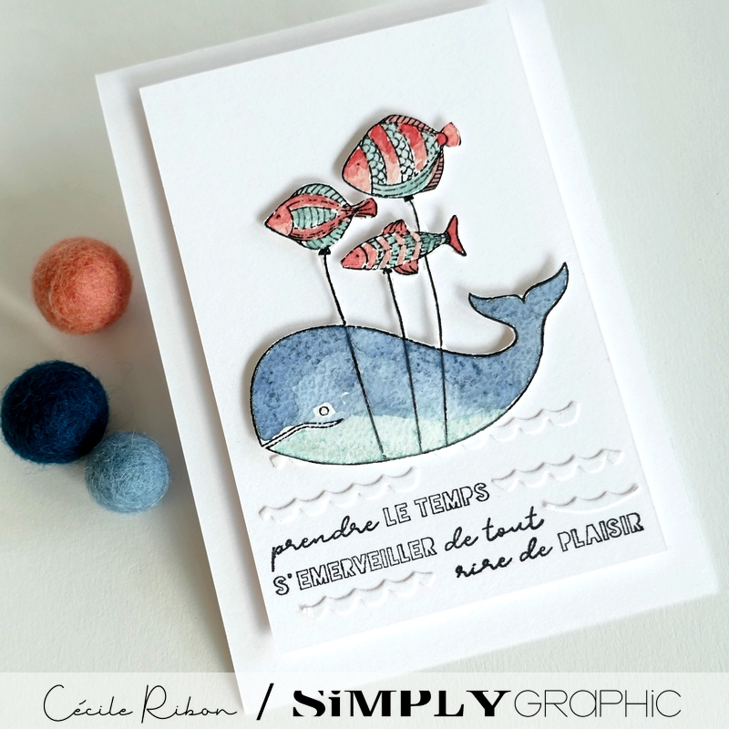 Carte CC&S515 - P1410371