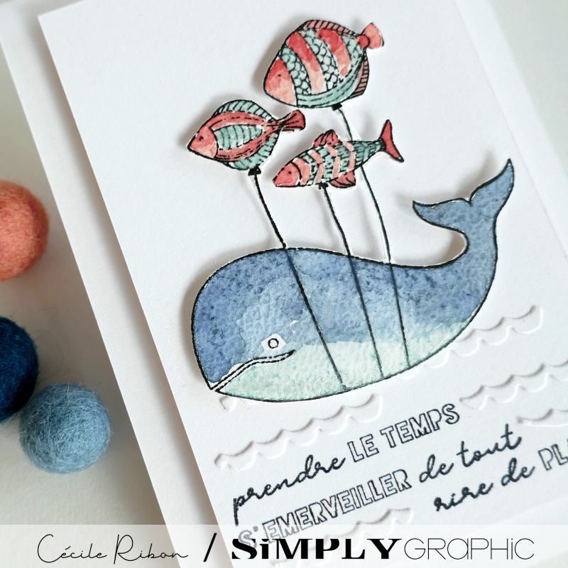 Carte CC&S515 - P1410375