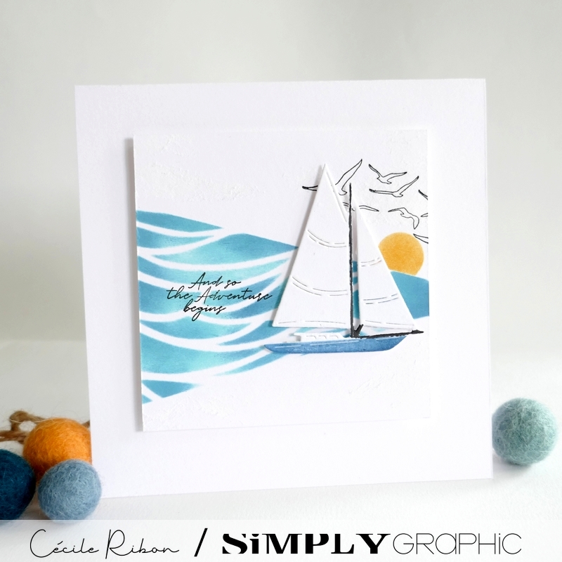 Carte FMS591 - P1410242