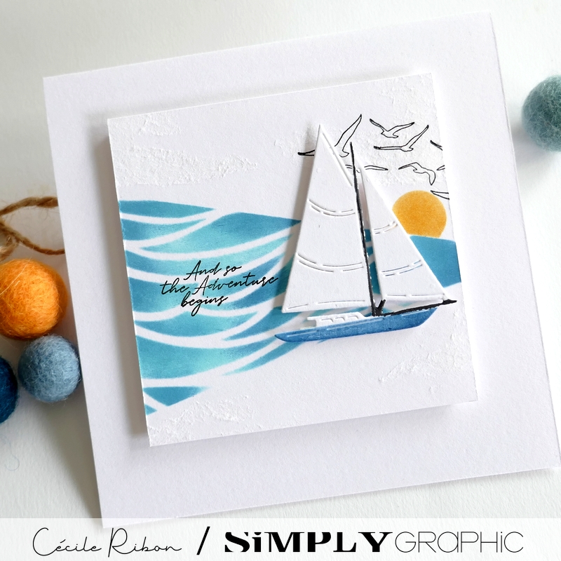 Carte FMS591 - P1410247