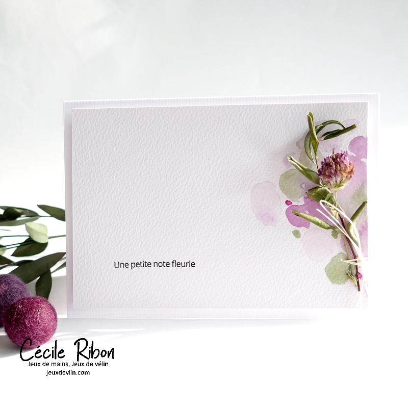 Carte CC&S519 - P1410815