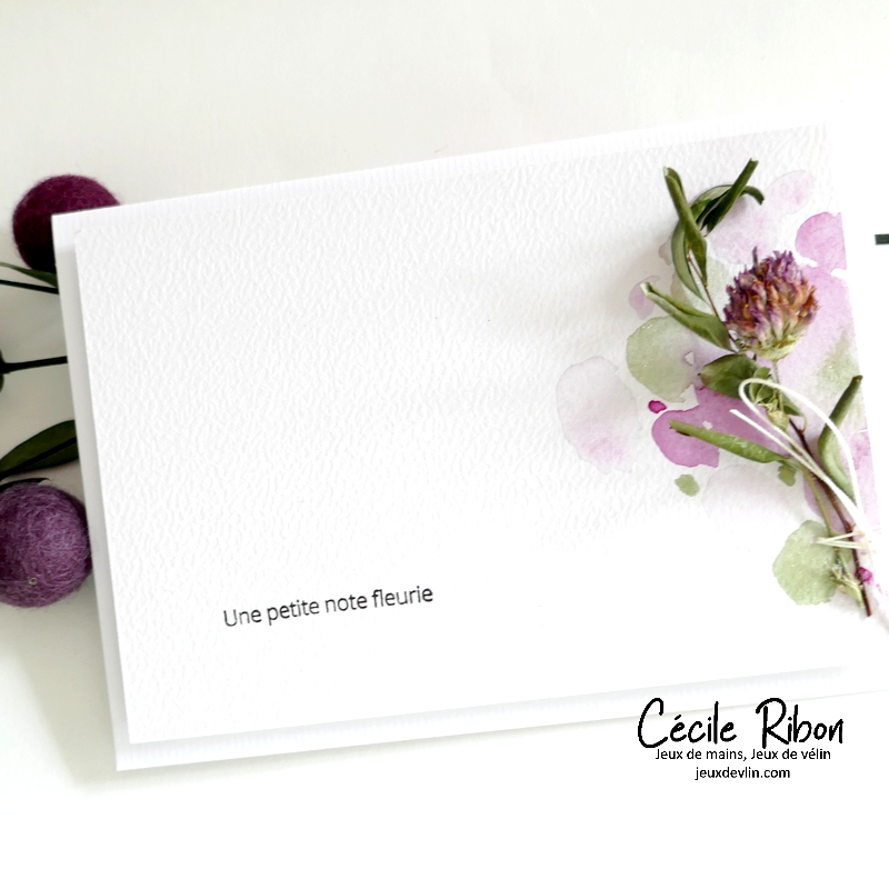 Carte CC&S519 - P1410822