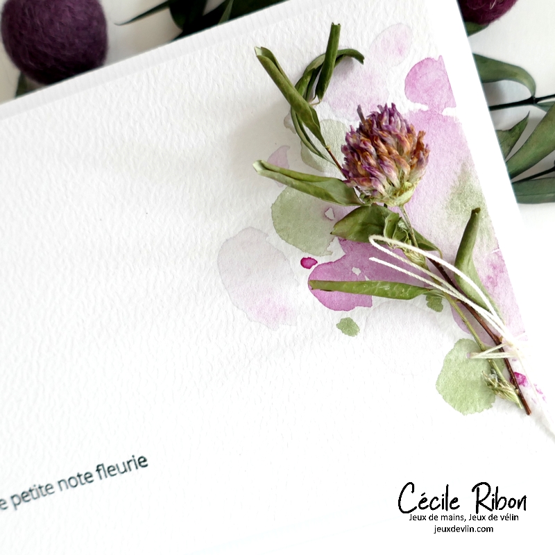 Carte CC&S519 - P1410831