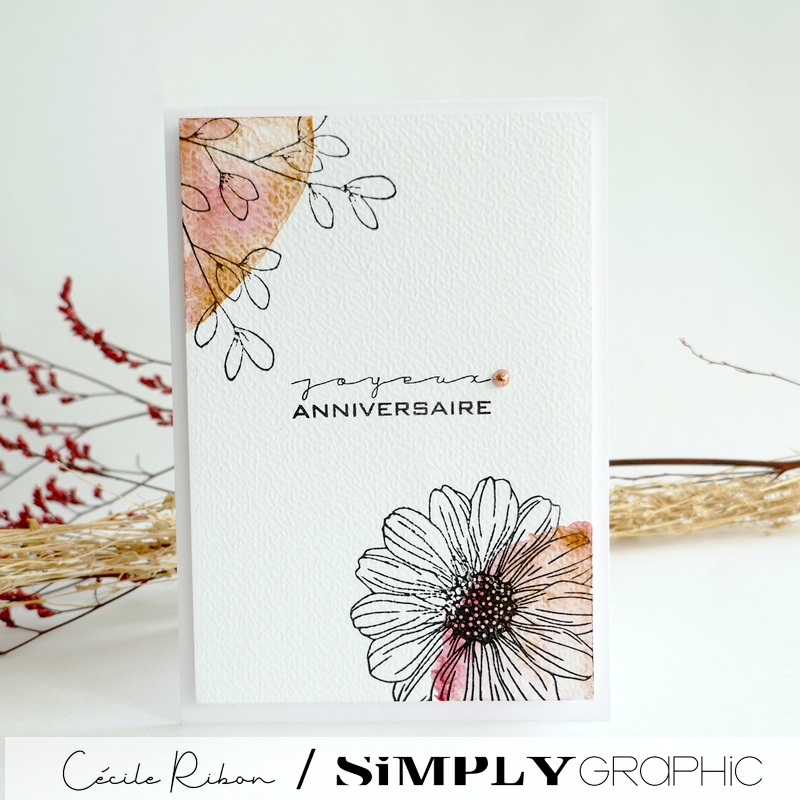 Carte FMS598 - P1410630