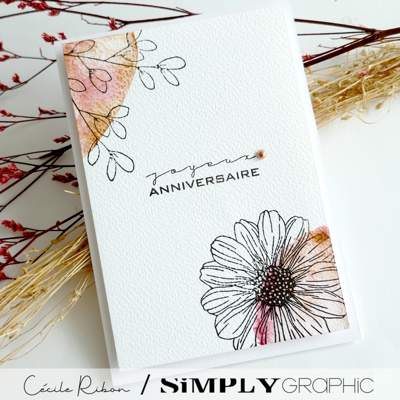 Carte FMS598 - P1410638