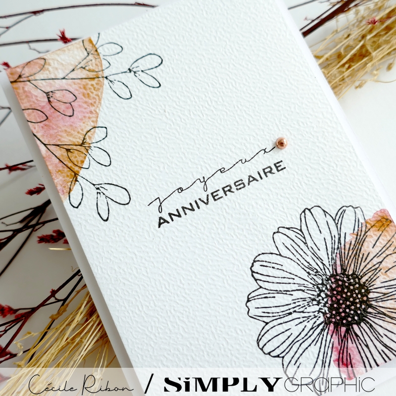 Carte FMS598 - P1410642