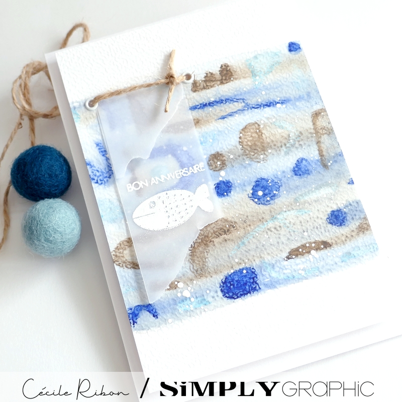 Carte FMS599 - P1410677