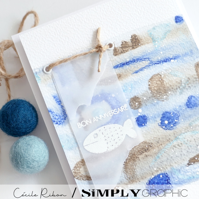 Carte FMS599 - P1410682