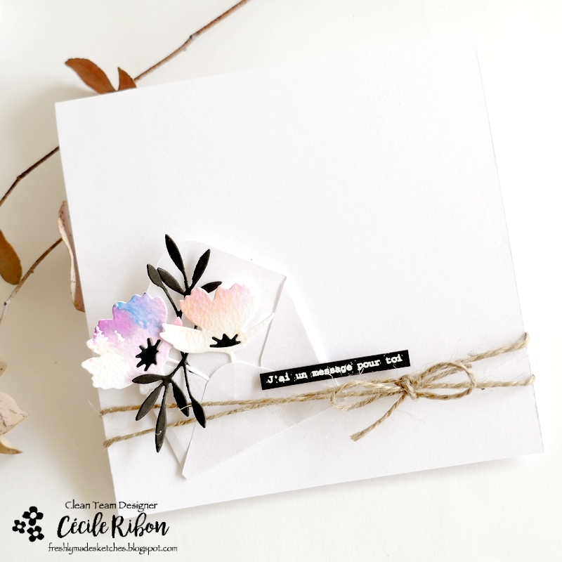 Carte FMS600 - P1410789