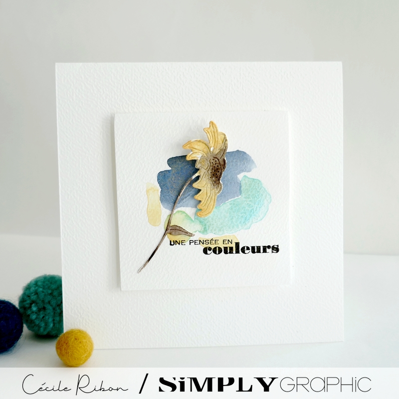 Carte CC&S520 - P1410910