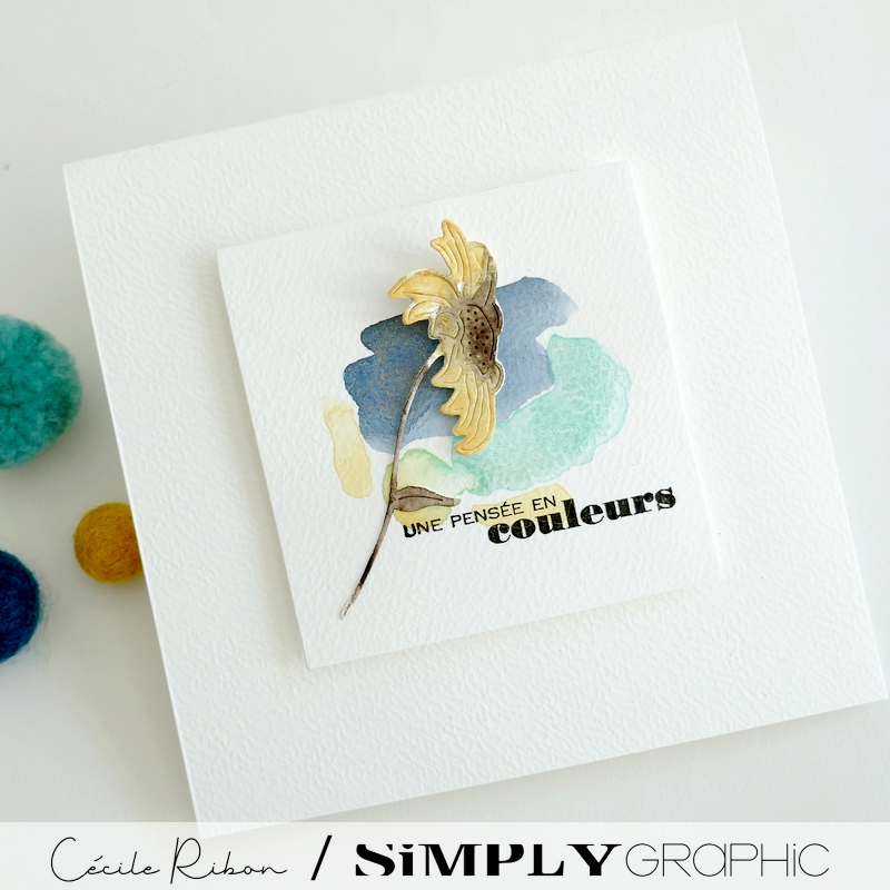 Carte CC&S520 - P1410915