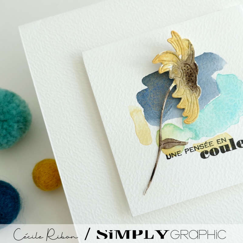 Carte CC&S520 - P1410920