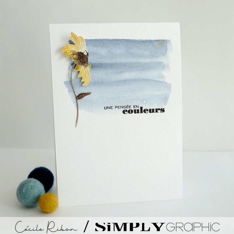 Carte FMS602 - P1410924