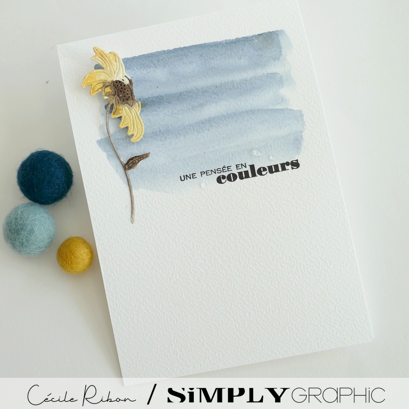 Carte FMS602 - P1410934