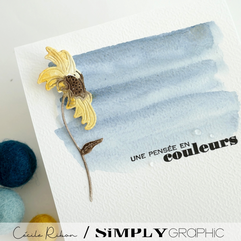 Carte FMS602 - P1410935