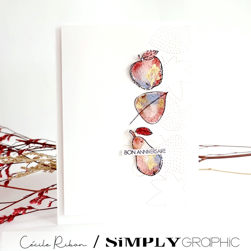 Carte FMS603 2 - P1420076