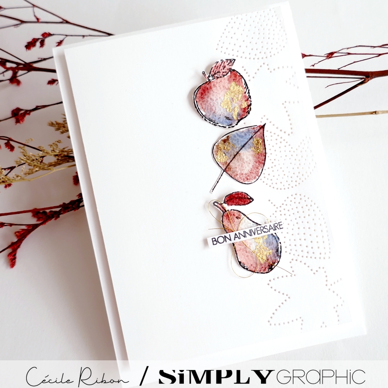 Carte FMS603 2 - P1420077