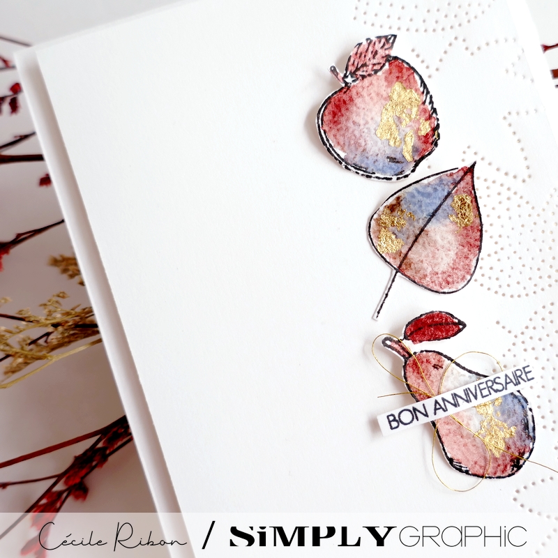 Carte FMS603 2 - P1420083