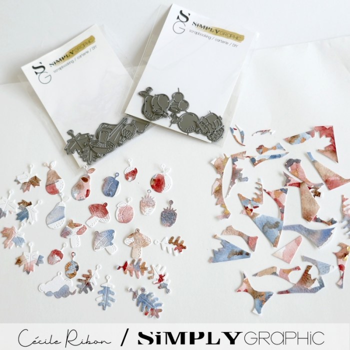 Carte Recyclage01 - P1410999