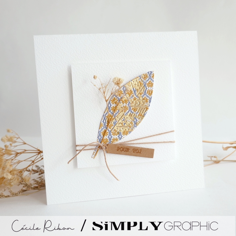 Carte SG27 - P1410858