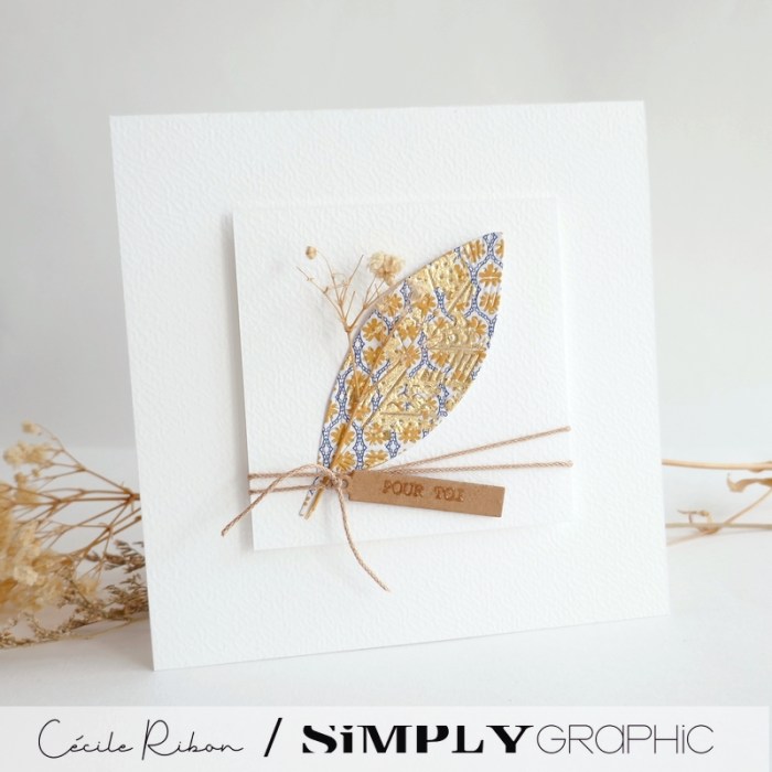 Carte SG27 - P1410858