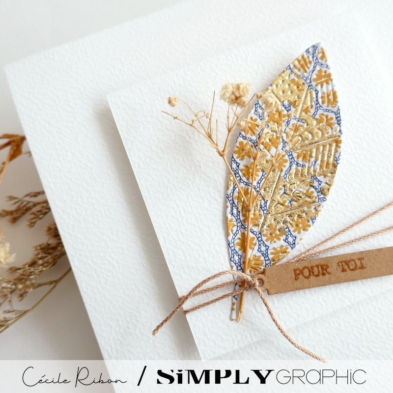 Carte SG27 - P1410870