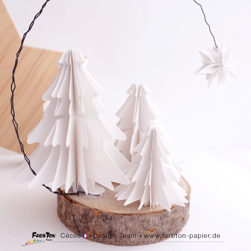 FarbtonP92 - P1420359