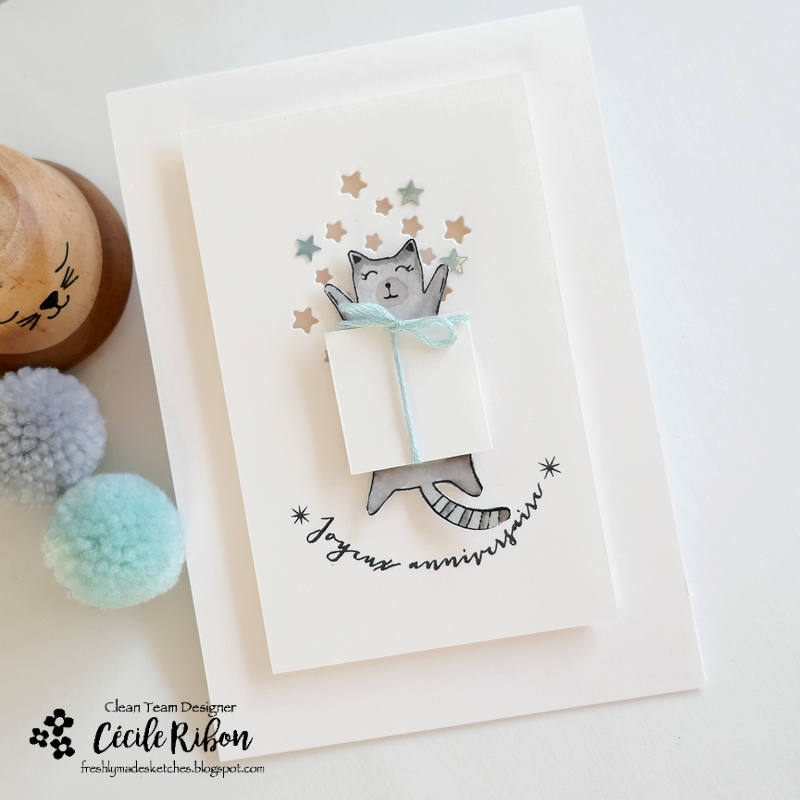 Carte FMS607 - P1420589