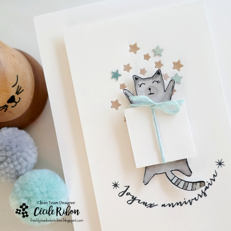 Carte FMS607 - P1420593