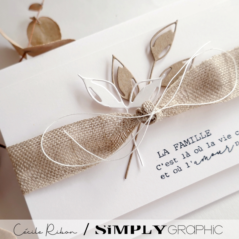 Carte SG28 - P1420506