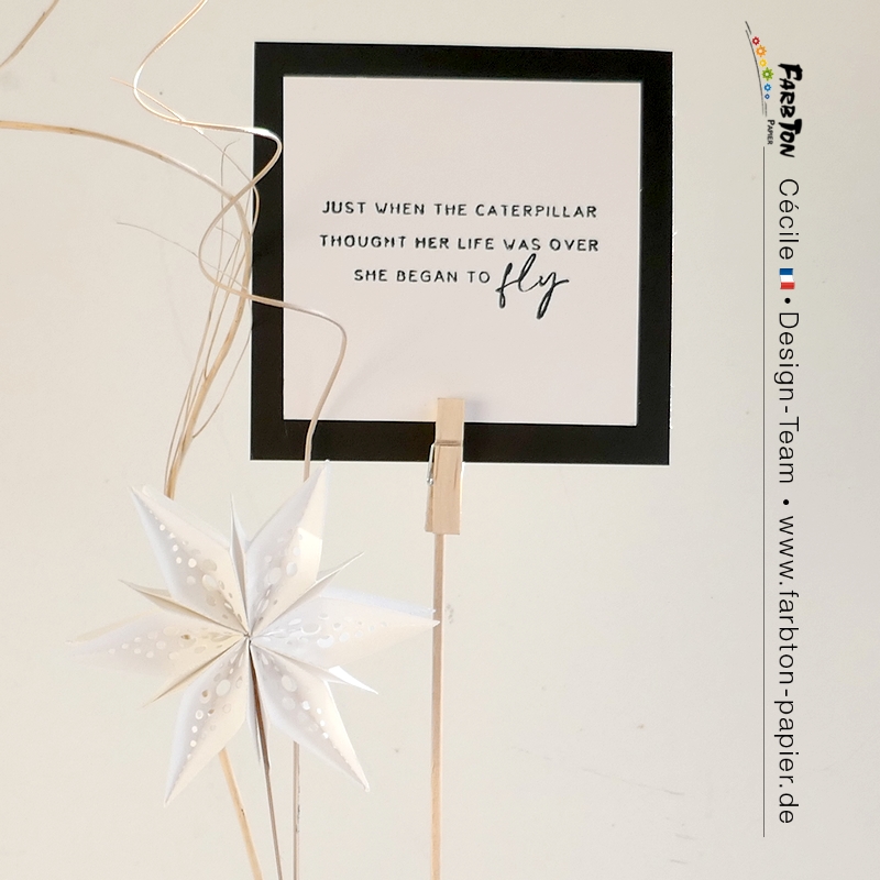 FarbtonP96b - P1420564