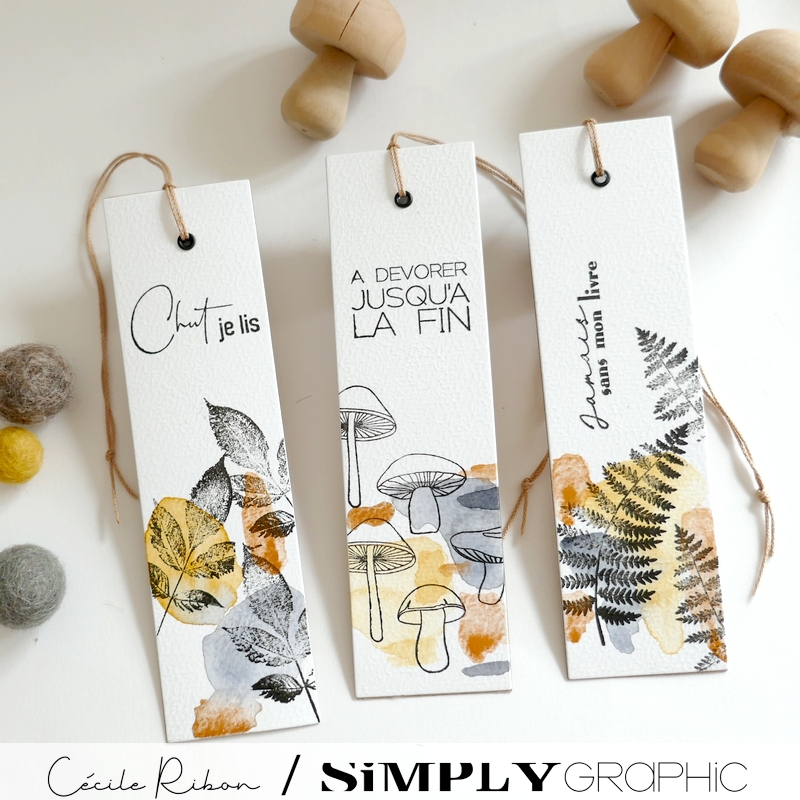 MarquePage05 - P1420416