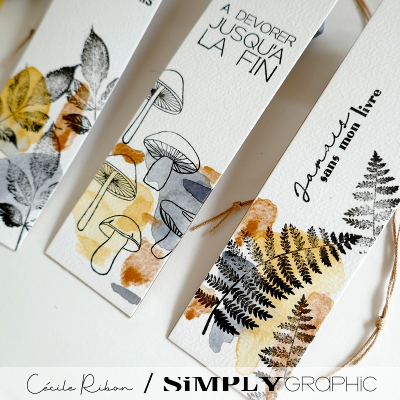 MarquePage05 - P1420423