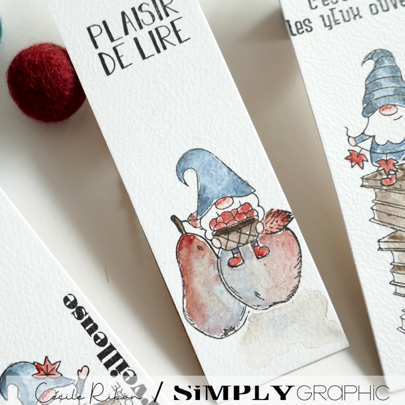 MarquePage06 - P1420437